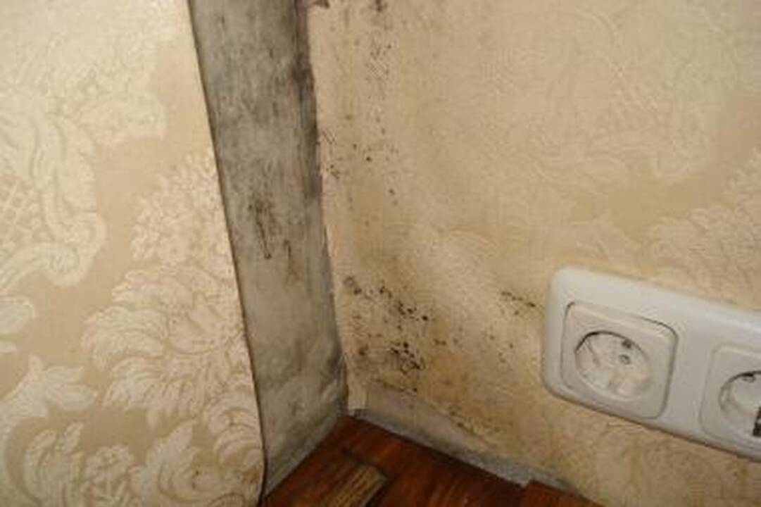 Gyventojai kratosi šildymo elektra