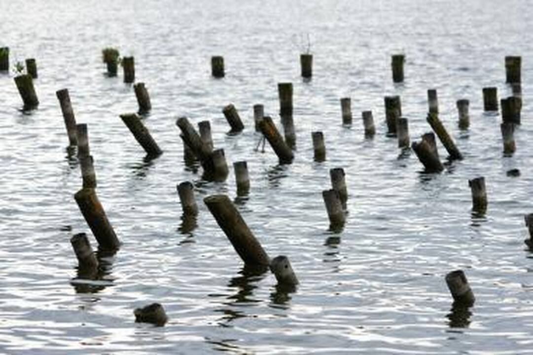Ugniagesiai: sušilus orui, vis daugiau žmonių nuskęsta