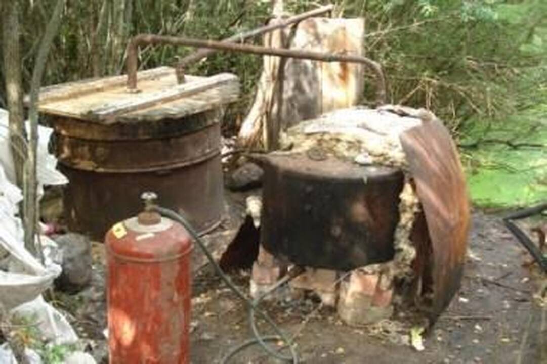 Žemaičiai toliau „varvina“ naminukę