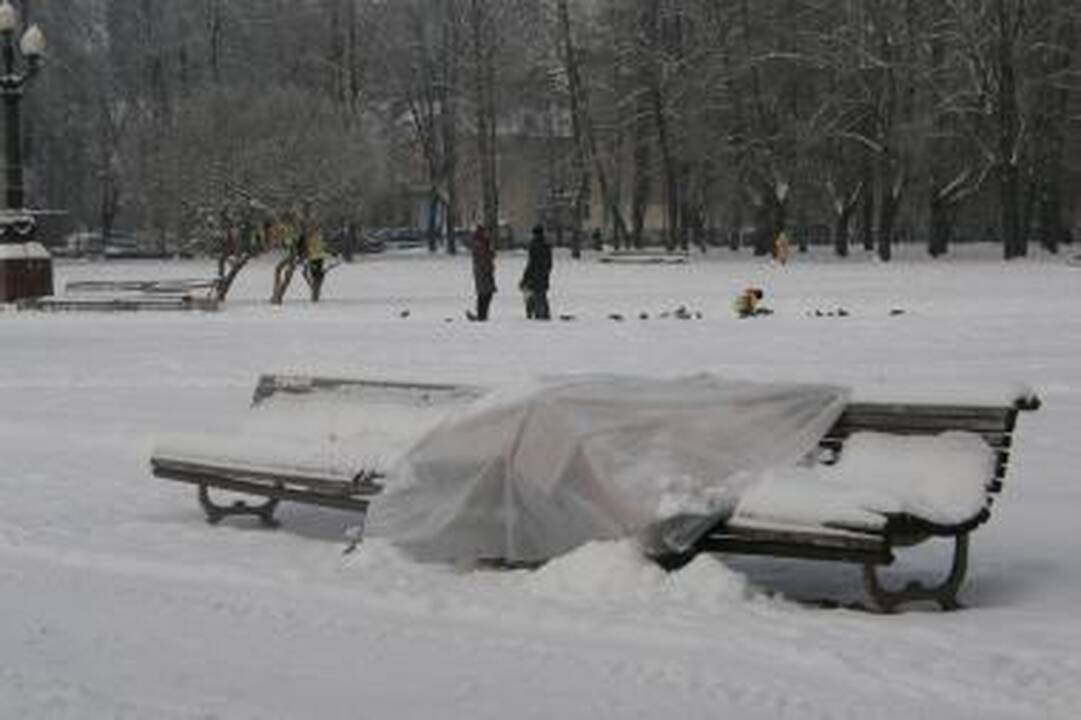 Vilniaus benamis nakvoja Lukiškių aikštėje net ir per didžiausius šalčius 