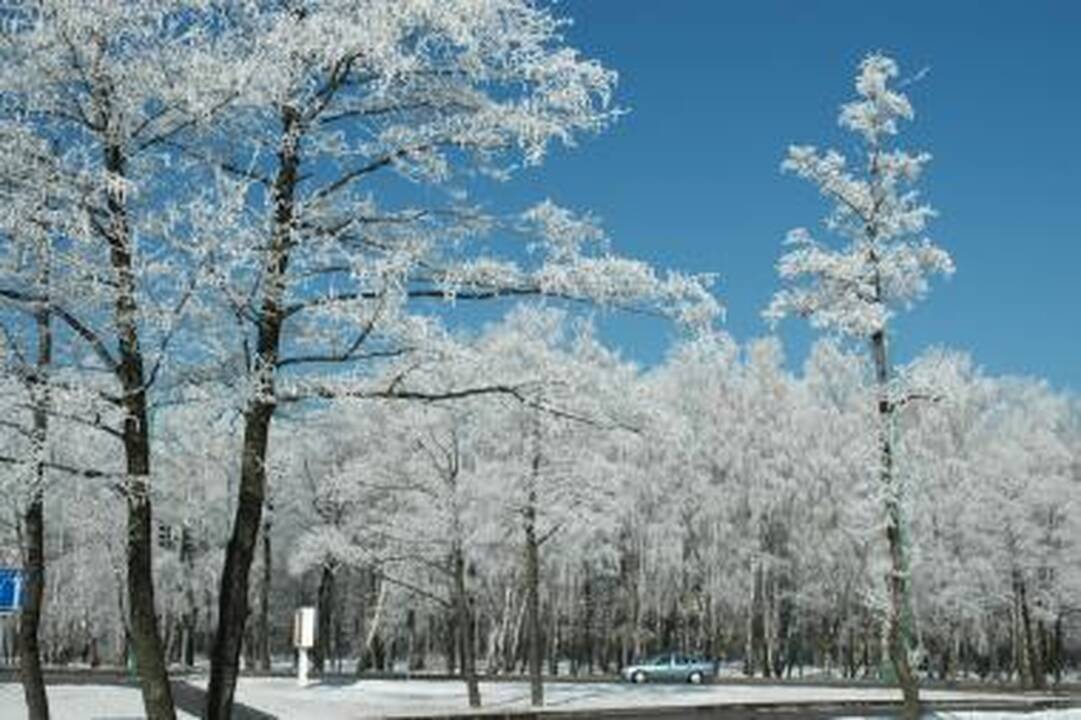 Kai kuriuose Lietuvos rajonuose - 20 laipsnių šaltis