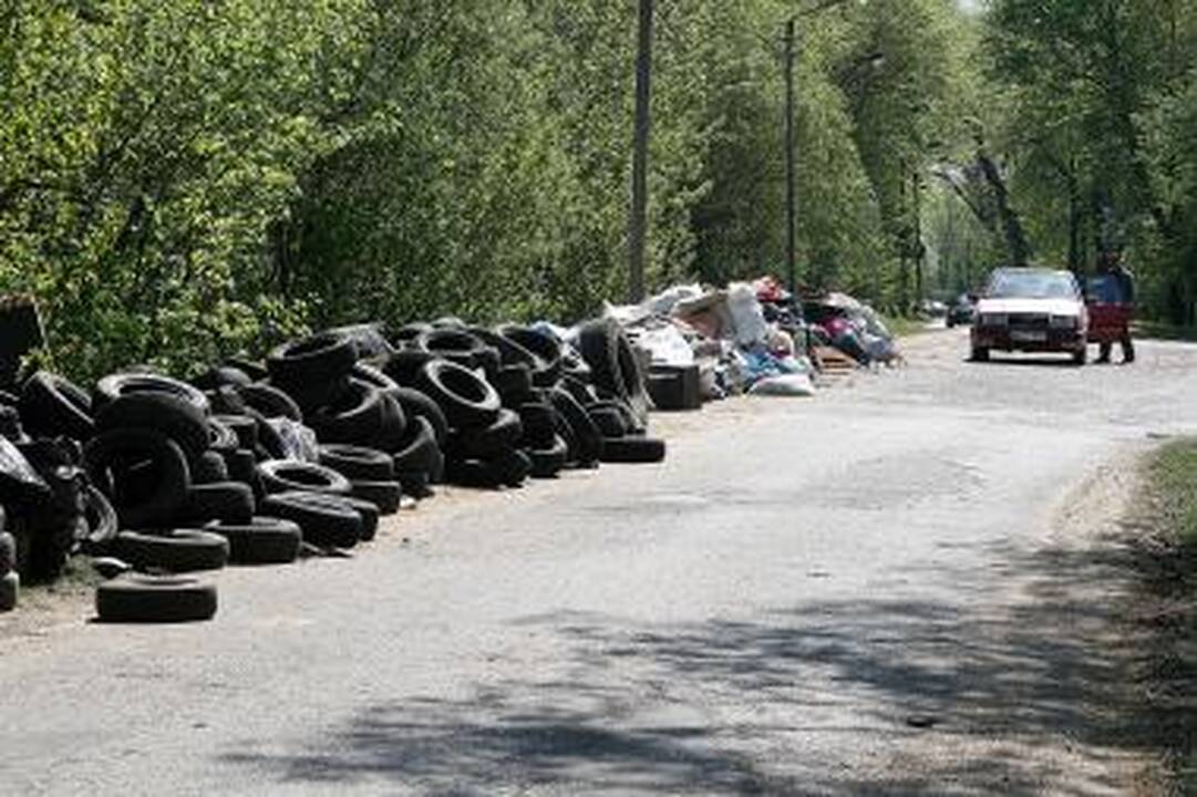Kauniečiai negali sustoti dalyvavę „Darom“ akcijoje