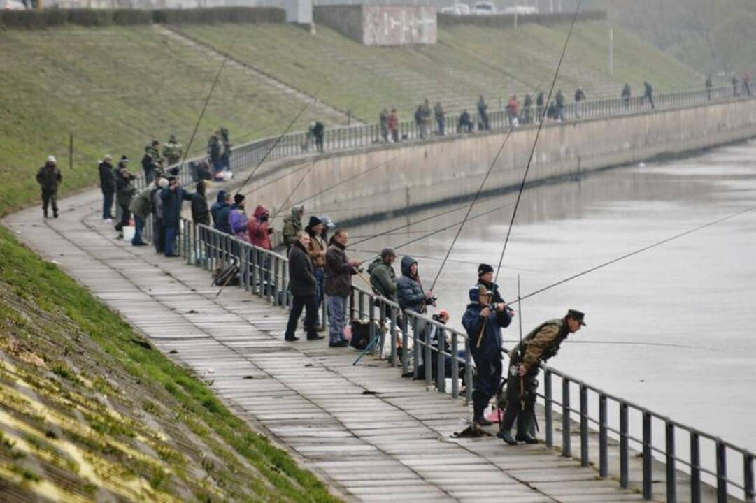 Per laisvadienius žvejai užplūdo Nemuno krantinę