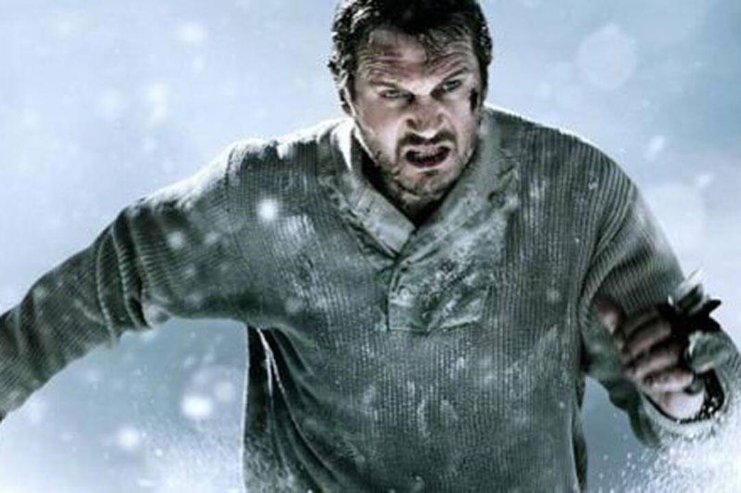 Gyvūnų teisių apsaugos aktyvistus papiktino filmas „Sniegynų įkaitai“