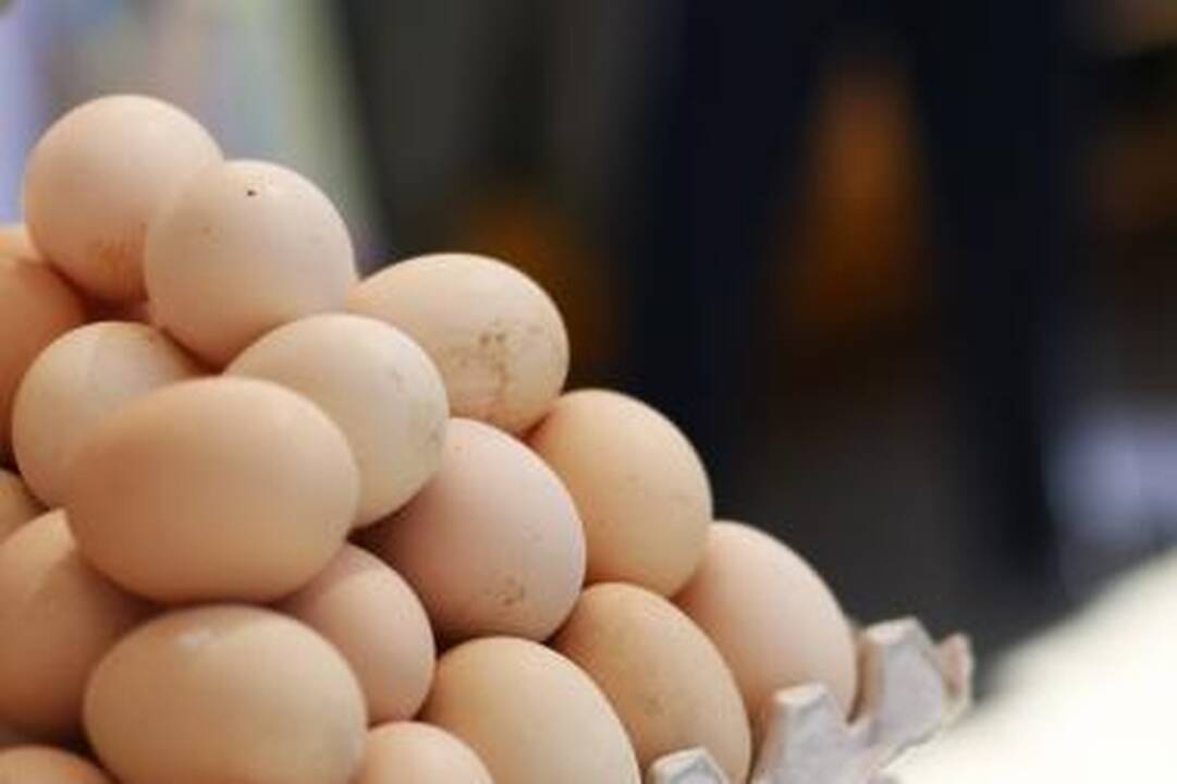 Užvaldė kiaušinių pirkimo bumas