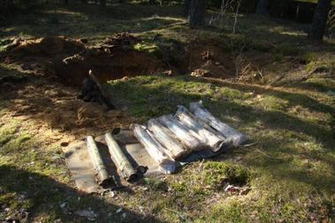 Miške prie Birštono rasti septyni granatsvaidžiai