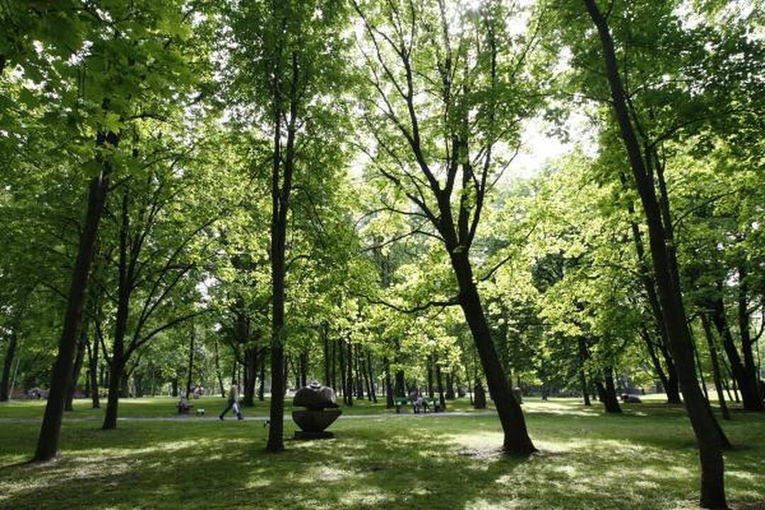 Skulptūrų parke – dėmesys istorijai 
