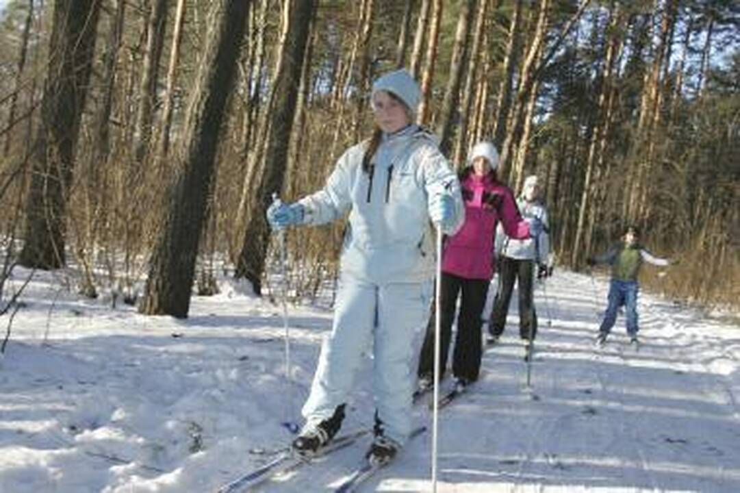 Žiemos pramogos Neringoje: parengtos slidinėjimo trasos (schemos)