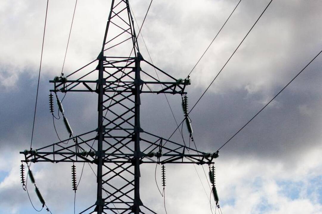 Elektros tilto į Lenkiją projektas juda į priekį