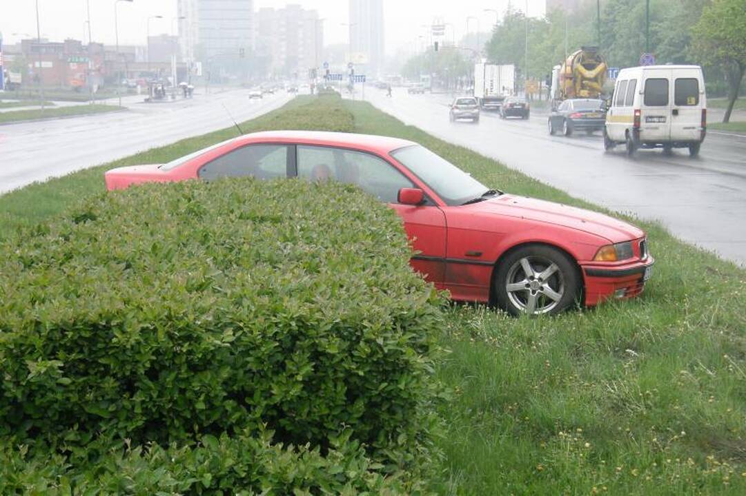 BMW vairuotojai: vienas įlėkė į krūmus, kitas buvo neblaivus