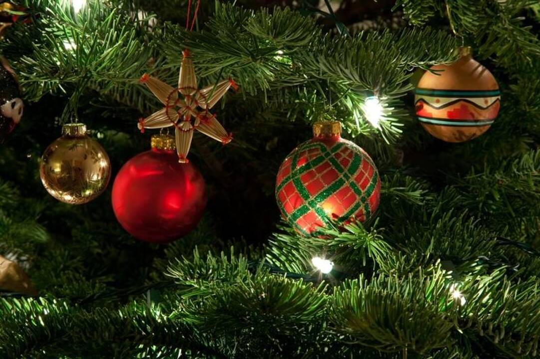 Alytaus rajone Kalėdų eglė nuvyta iš virvių