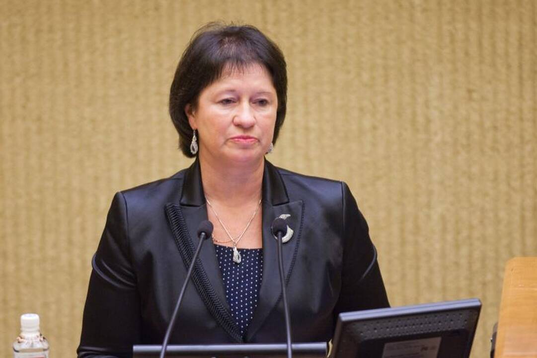 „Darbietė“: nebuvo pažeidimų, kad reikėtų naikinti rinkimų rezultatus