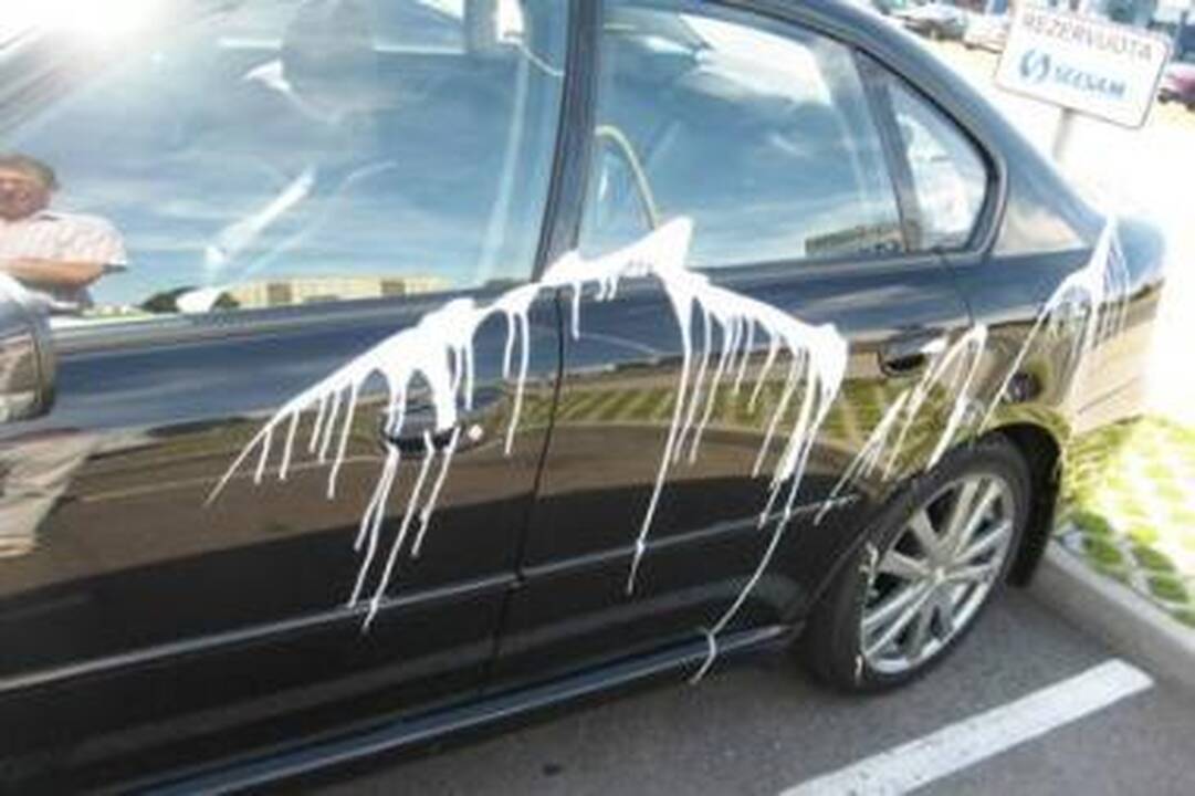 „Subaru“ niokotojai pridarė nuostolių už daugiau nei 70 tūkst. litų 