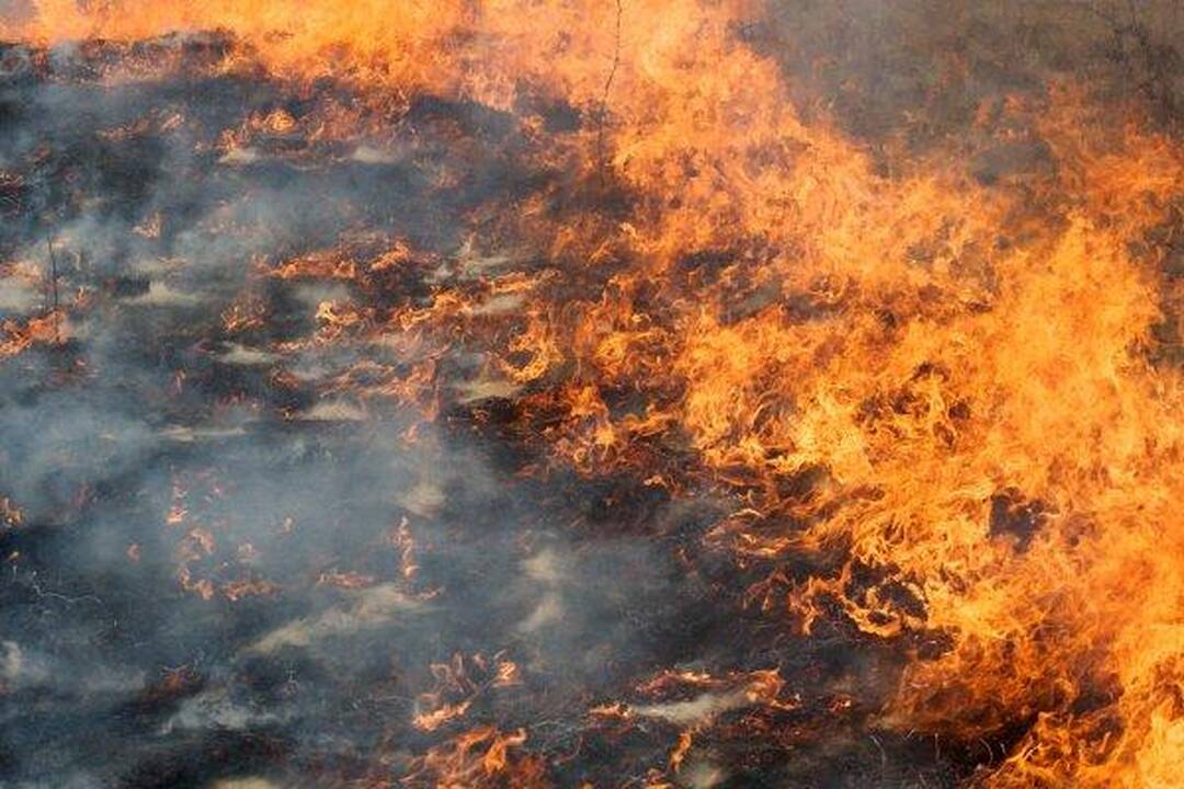 Nuo deginamos žolės jau pradėjo degti ir pastatai