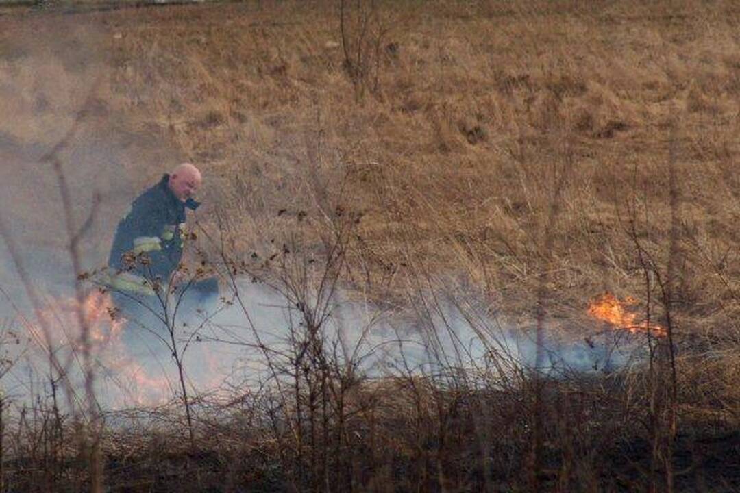 Žolės degintojai supleškino sandėlį, pirtį ir ūkinį pastatą 