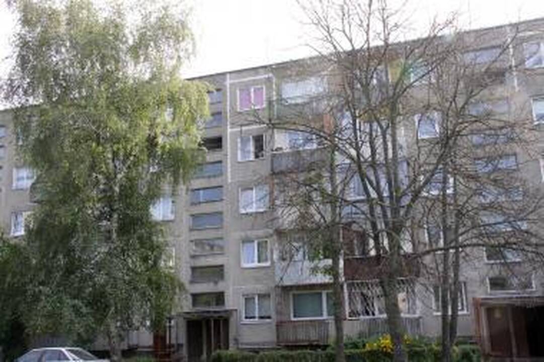 Škvalo pamokos: kaip pasodinti medį, kad jo nereikėtų pjauti