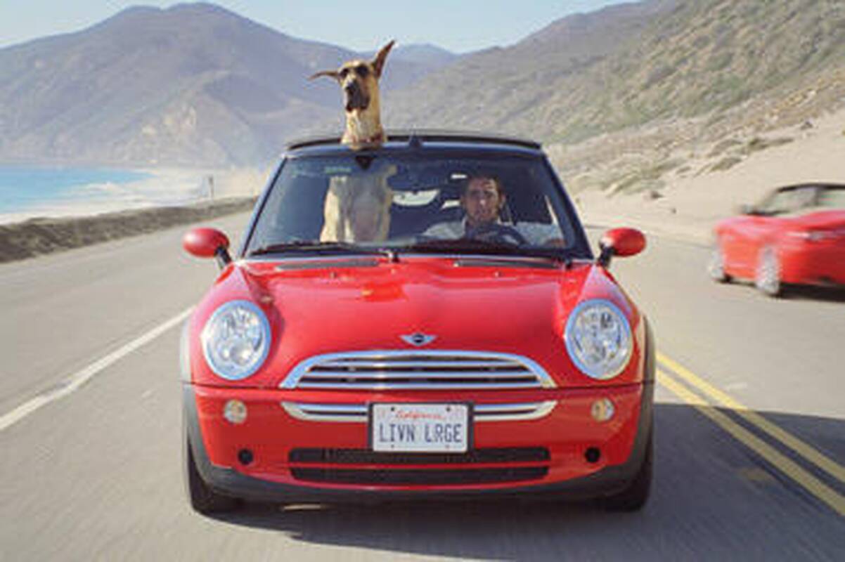 Komiksų herojus Marmadukas kraustosi į kino ekranus