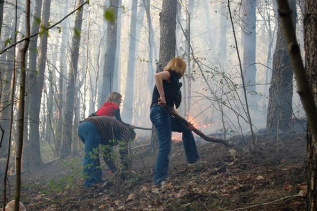 Draudikai perspėja apie ilgąjį savaitgalį padidėsiančią riziką