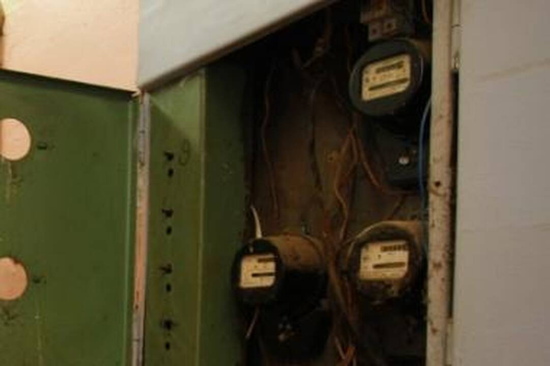 Baltupiuose dingo elektra