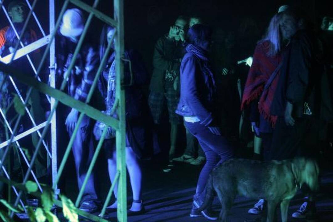 VDA kiekvienam leido pasijusti menininku