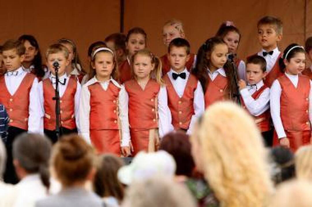 Prasideda „Dainų dainelės“ zoniniai etapai