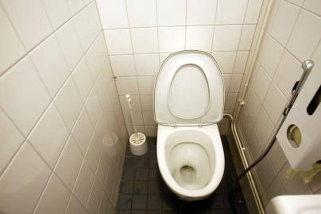 Vilniaus savivaldybė už 100 tūkst. litų parduoda tualetą
