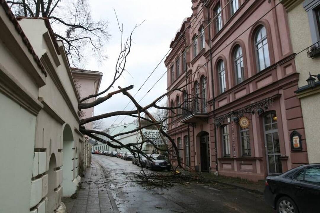 Vėtra Vilniuje ir apylinkėse didelių bėdų nepadarė (papildyta)