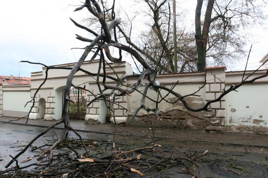 Vėtra Vilniuje ir apylinkėse didelių bėdų nepadarė (papildyta)