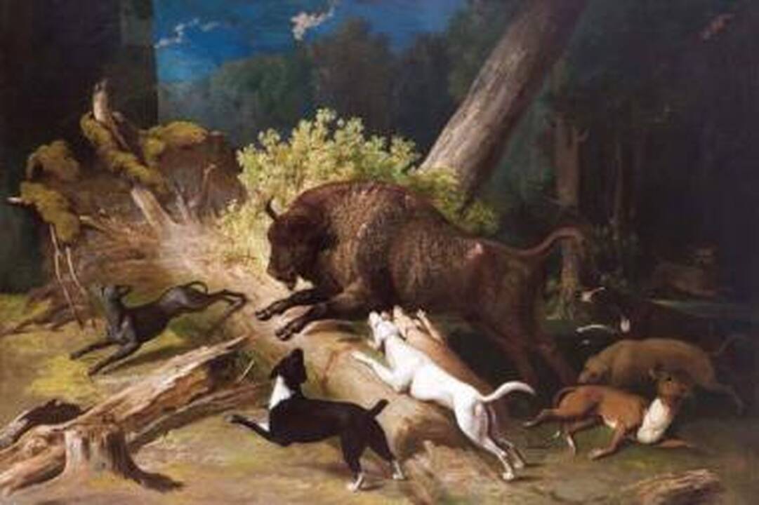 Radvilų rūmuose – „Stumbro medžioklė” 