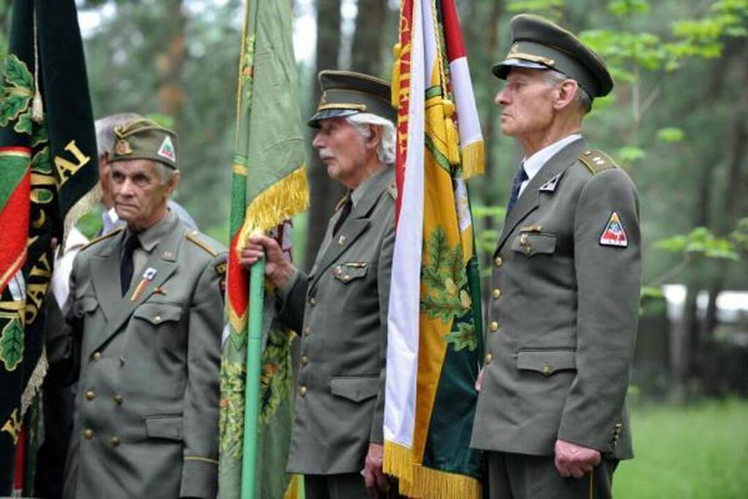 Vilniuje vyksta Gedulo ir vilties dienai skirti renginiai (programa)