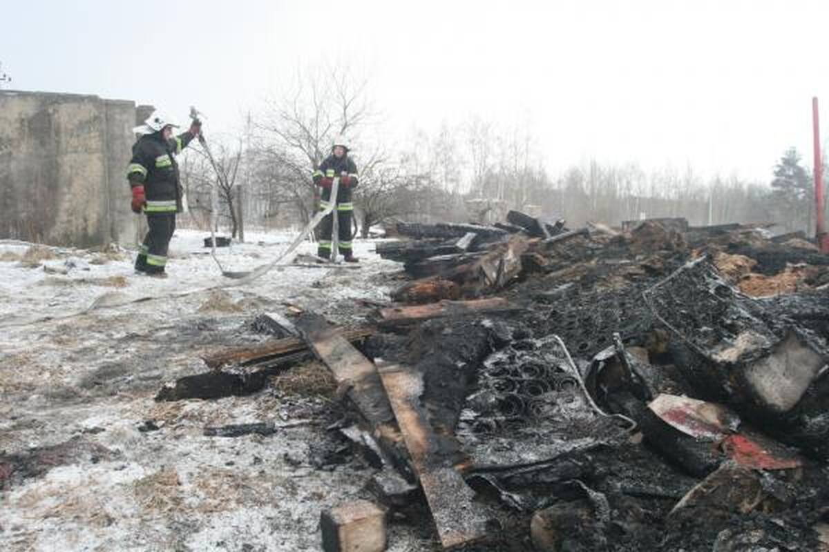 Gaisras pasiglemžė trijų benamių gyvybes (papildyta)