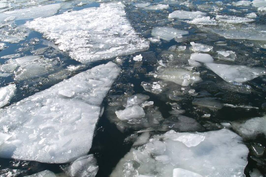 Anykščių rajone skenduolis ištrauktas po dviejų savaičių