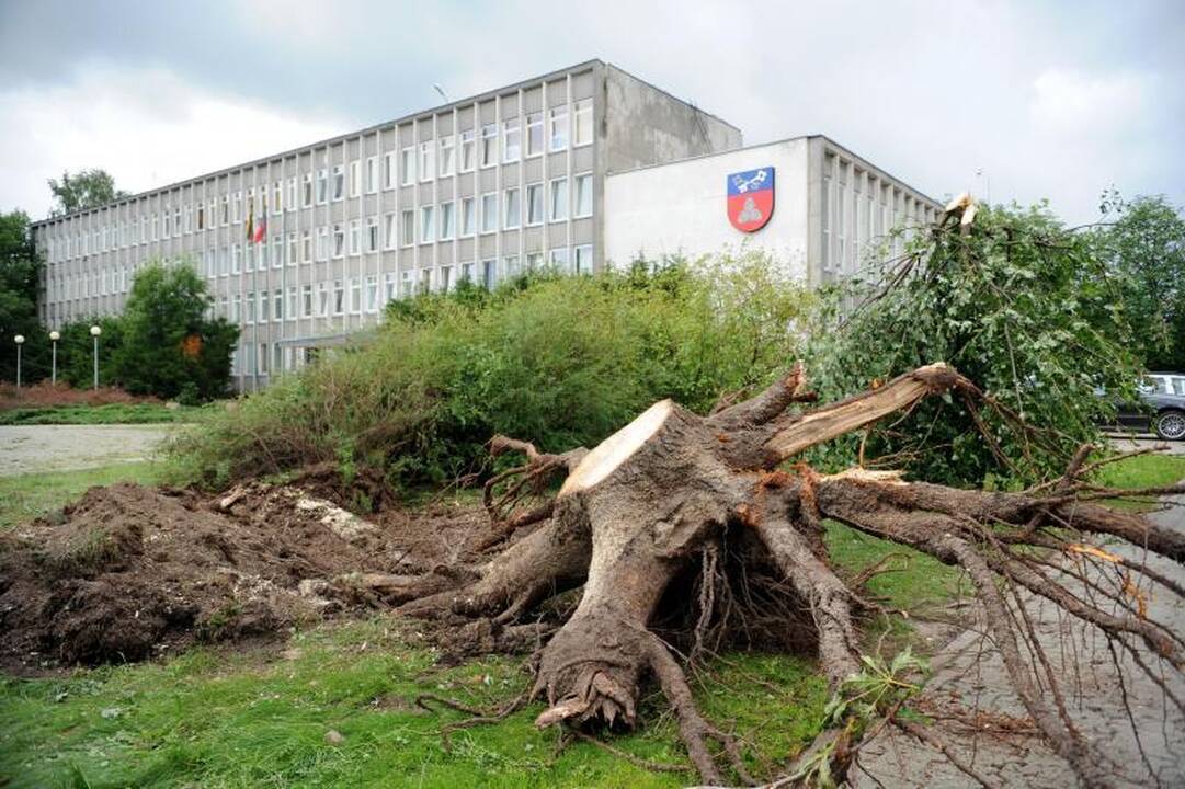 Elektros Šalčininkuose vis dar neturi 80 vartotojų