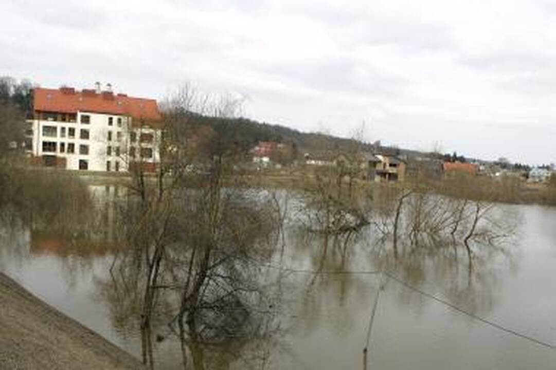 Neris priviliojo gausybę smalsuolių, Nevėžis išsiliejo į pievas (dar papildyta)