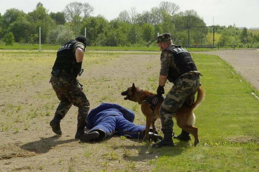 Pasienyje sulaikyta 18 atėjūnų iš Gruzijos ir Afganistano