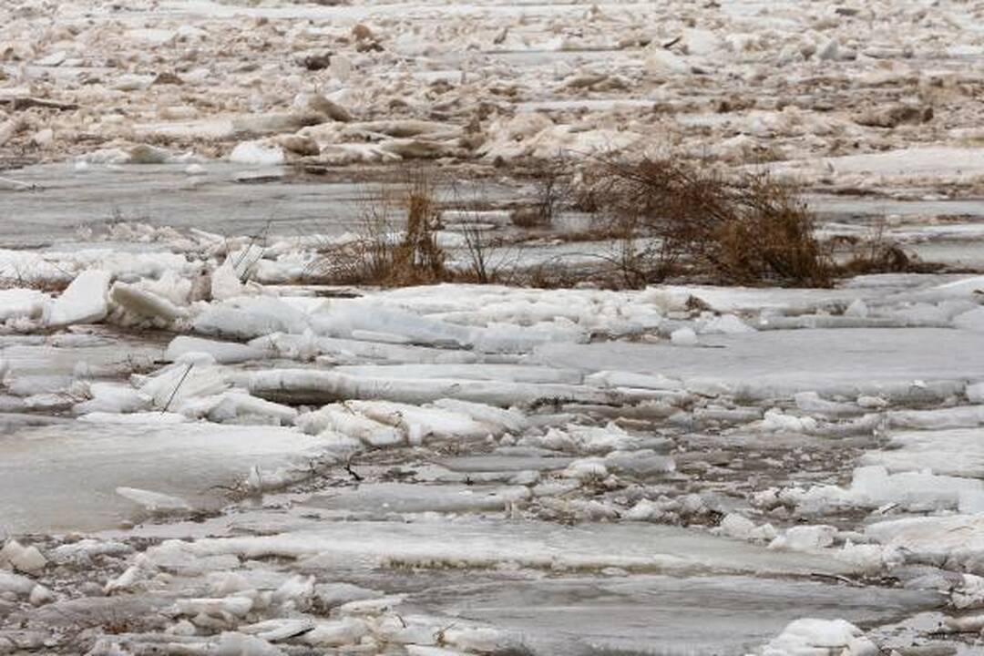 Neryje ties Kauno rajonu pajudėjo ledai (dar papildyta)