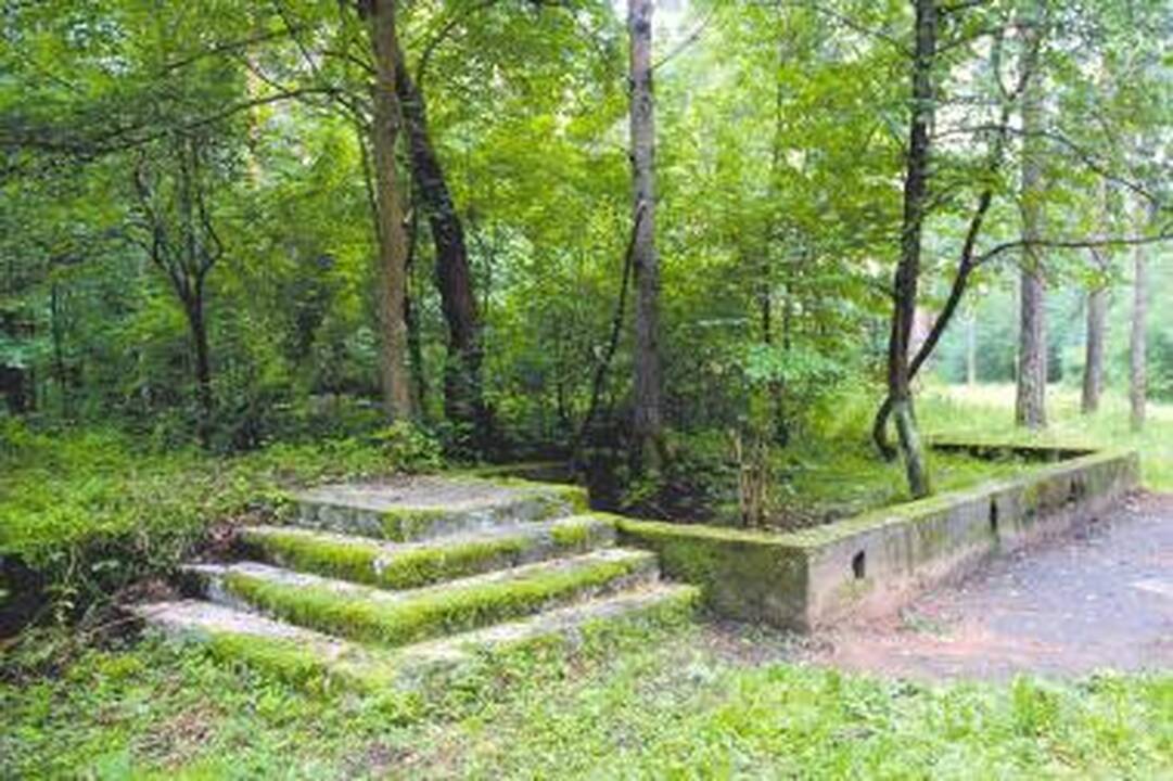 Norima atstatyti Panemunės šilo kurhauzą 