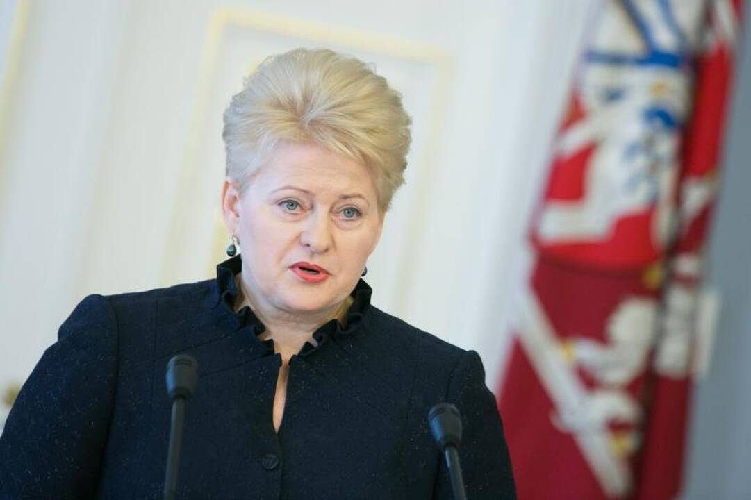D. Grybauskaitė: dėl naujojo ES biudžeto bus sutarta pavasarį