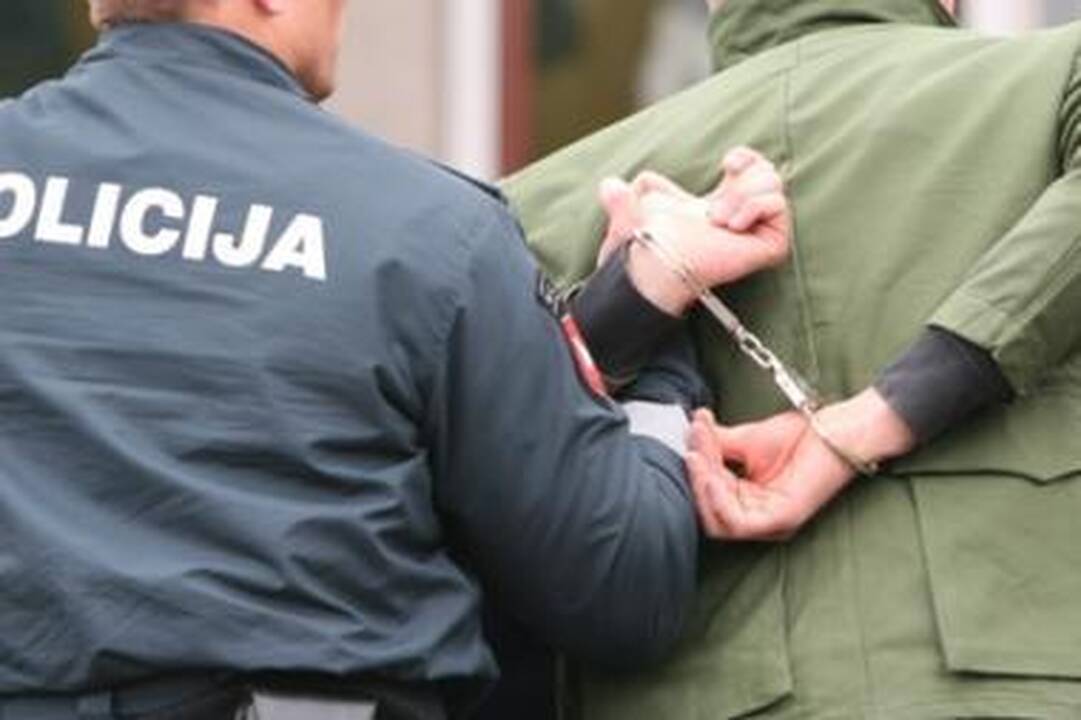 Šiaulietės žagintojo byla ištirta vos per mėnesį