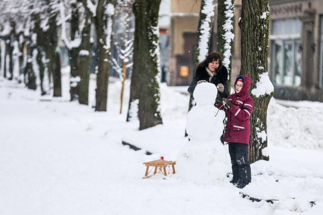 Meteorologė: šio sniego greitai nebeliks