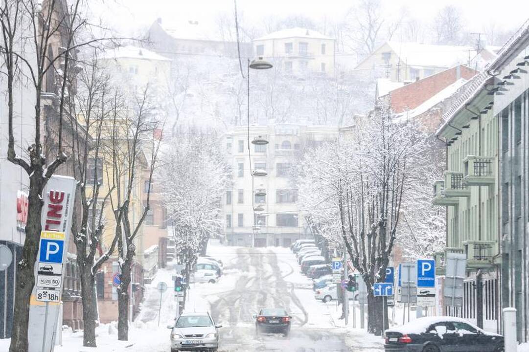 Meteorologė: šio sniego greitai nebeliks