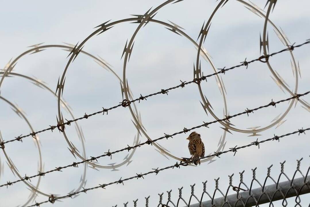 JAV kalinys rezgė sąmokslą nukirsti galvas savo teisėjui ir prokurorei