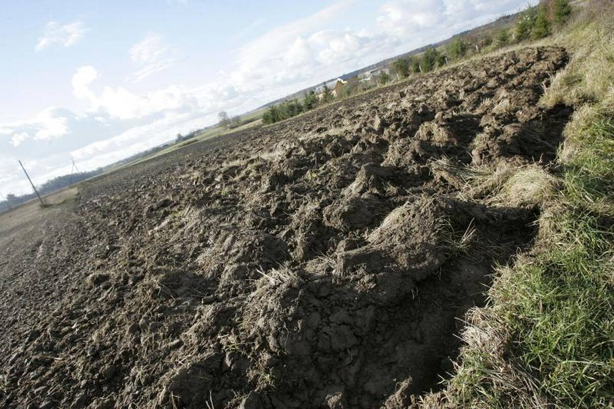 Prekyba senukų žemės sklypais kauniečiui atnešė 4 milijonus litų pelno