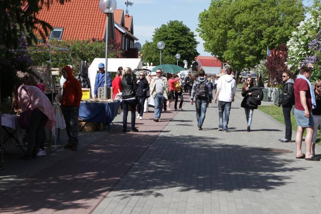 Į Nidą plūsta sezono atidarymo dalyviai