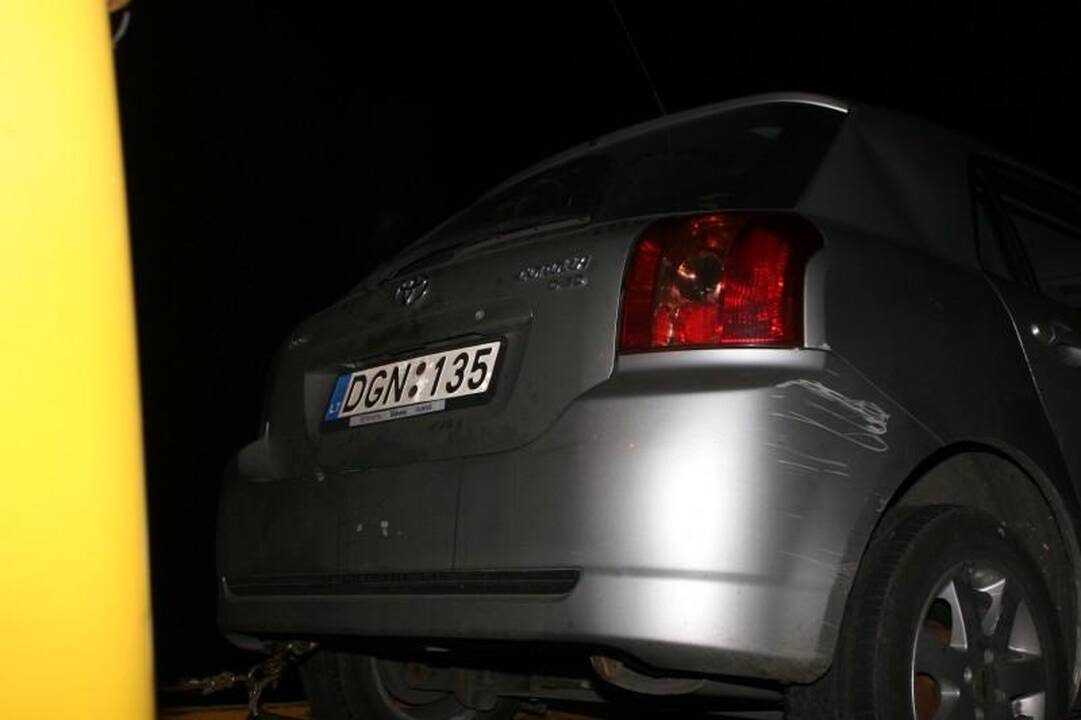 Avarijoje žuvo Seimo narys Juozas Palionis