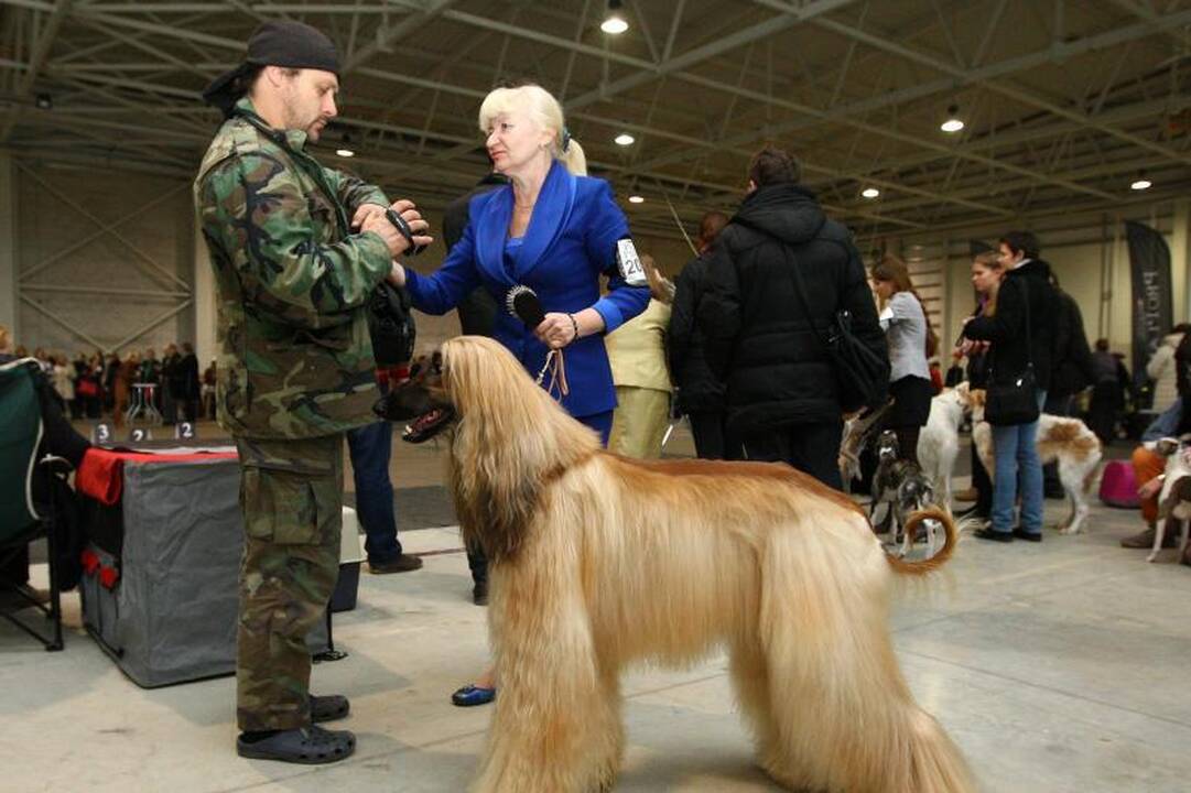 Akademijos miestelis sukvietė šunų mylėtojus
