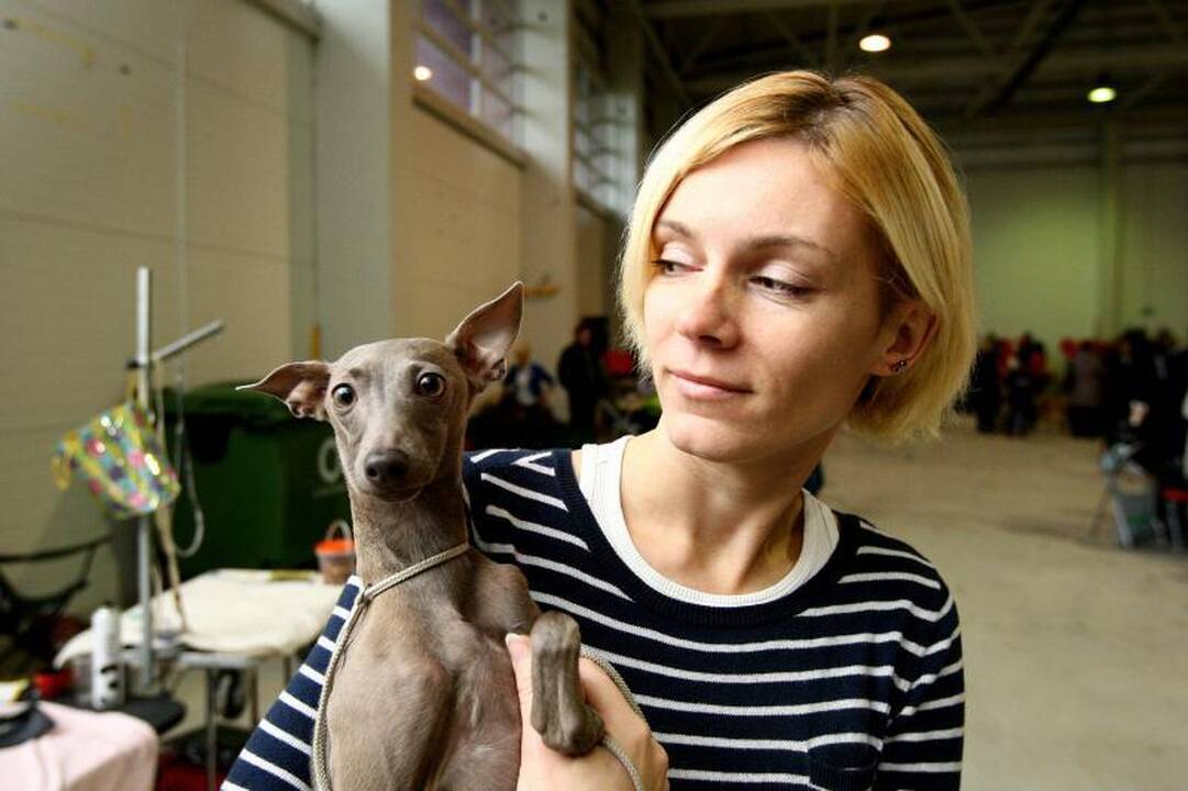 Akademijos miestelis sukvietė šunų mylėtojus