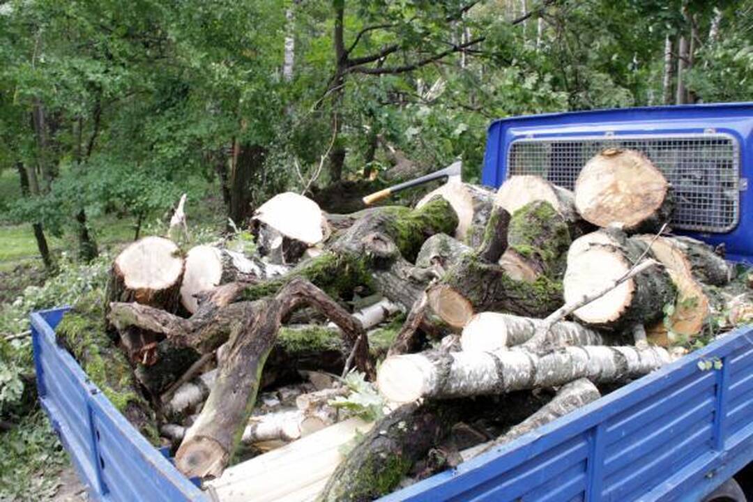 Kaune audros padaryti nuostoliai viršija 1 mln. litų