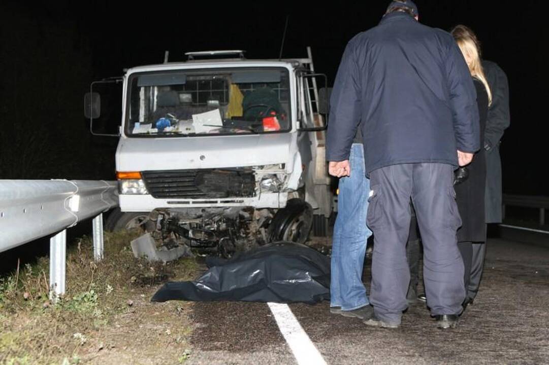 Avarijoje žuvo Seimo narys Juozas Palionis