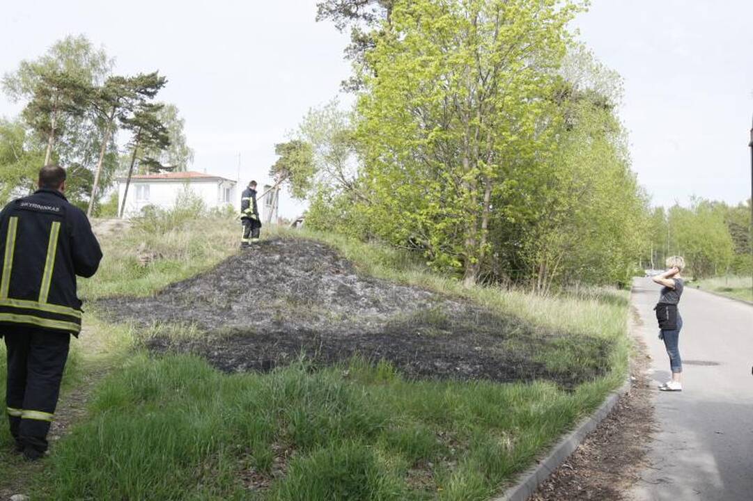 Ketvirtadienio popietę Melnragėje degė žolė  